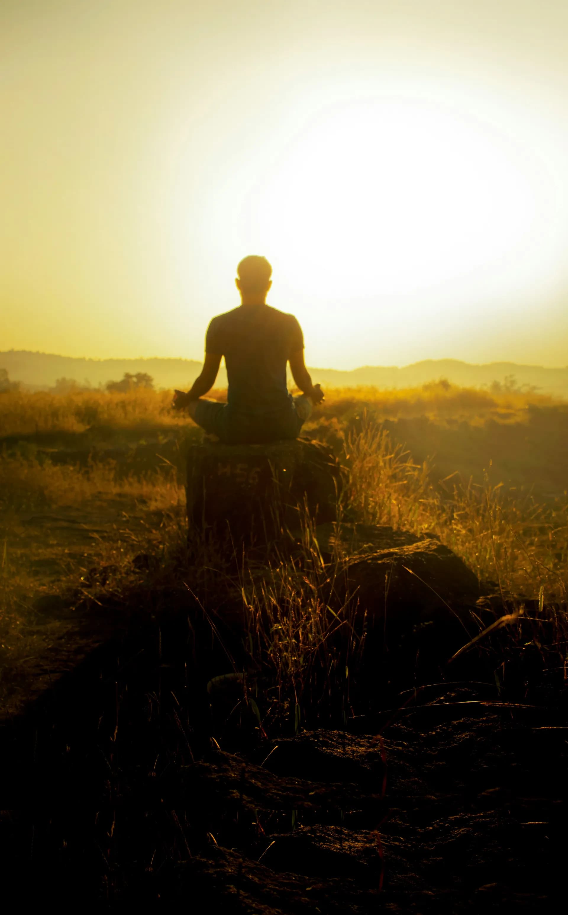 Un hombre meditando en el bosque