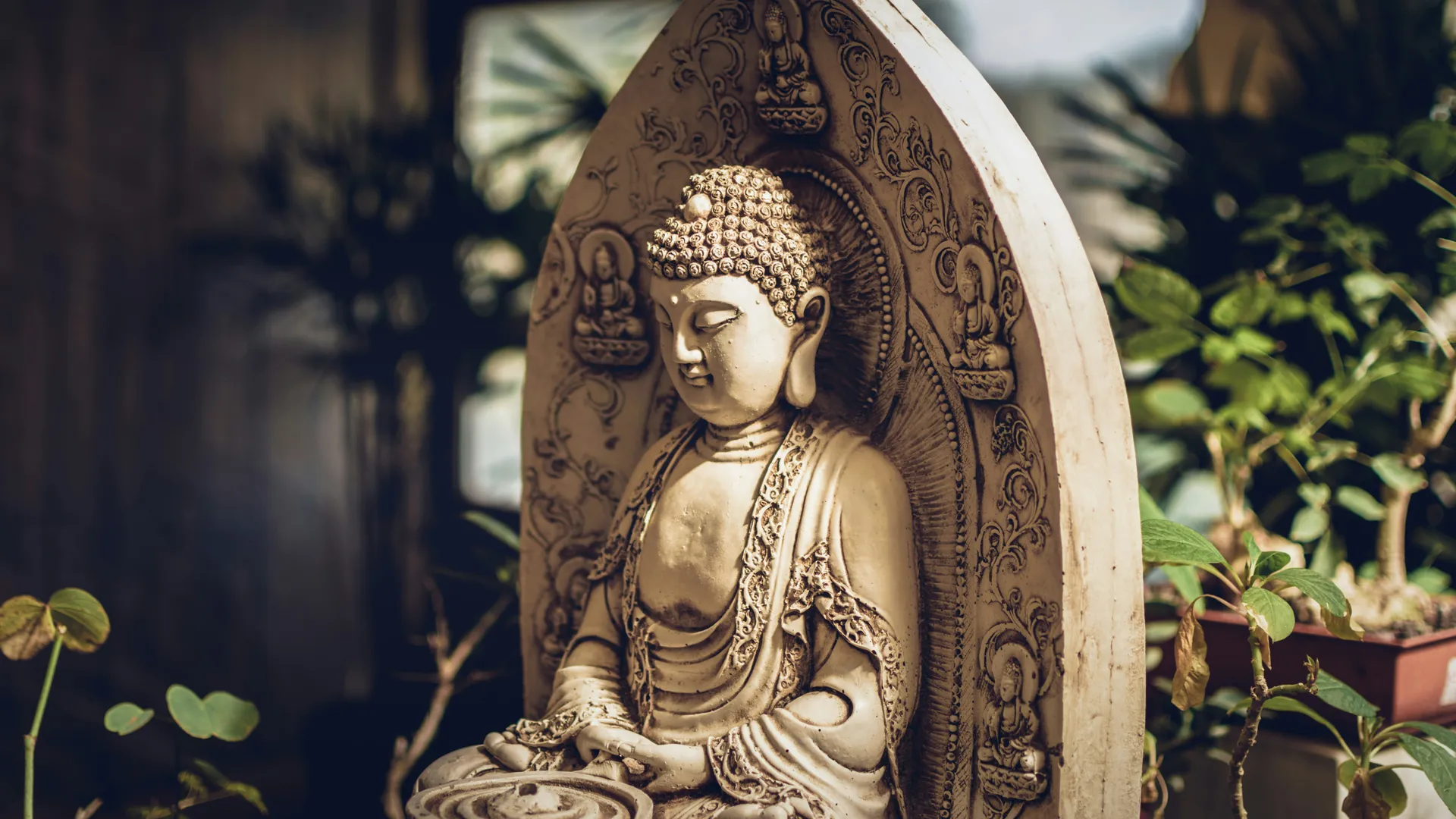 Estatua de buda