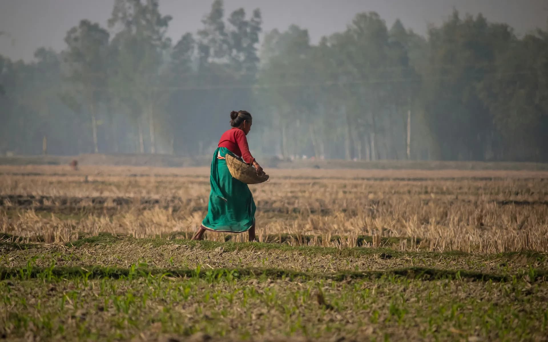 Una mujer trabajando en el campo